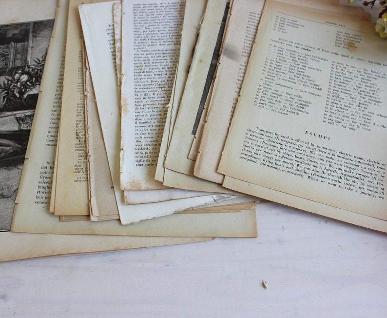 Super antikes Buchseitenbündel aus dem 19. Jahrhundert Bild 6