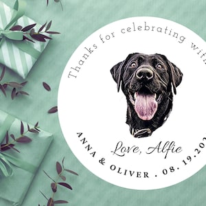 30 stickers personnalisés pour cadeaux de mariage Étiquettes personnalisées amusantes pour photos d'animaux de compagnie Stickers ronds Stickers toutou Sticker kitty Stickers sauvez la journée