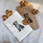 Cookie Treat Bags