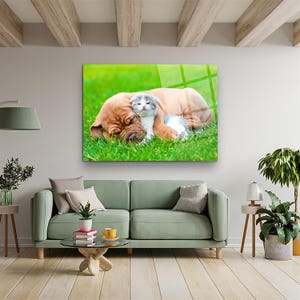 Könnte beinhalten: Gerahmter Druck mit einem schlafenden braunen Hund und einer grau-weißen Katze, die sich auf grünem Gras aneinander kuscheln. Das Bild wird an einer Wand über einem grünen Sofa gezeigt und verleiht der Inneneinrichtung einen Hauch von Natur.