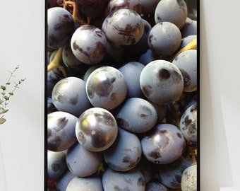 Organic Whole Black Grape Wall Art, Elegant Fruit Photography for Kitchen Decor, Farmhouse Style, Perfect for Wine Lovers,Grapes Photography