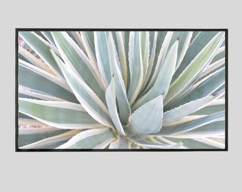 Photographic Art, Agave Plant Wall Art, Nature Wall Decor, Plant Art Decor, Unique Home Decor, Wall Hanging, Rustic Decor, Unique Art Gift