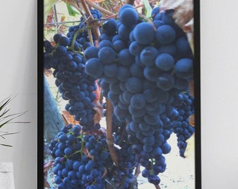 Vineyard Kitchen Wall Art Print, Wine Grapes Photography on Premium Matte or Luster Paper, Farmhouse Dining Room Decor, Food Photography