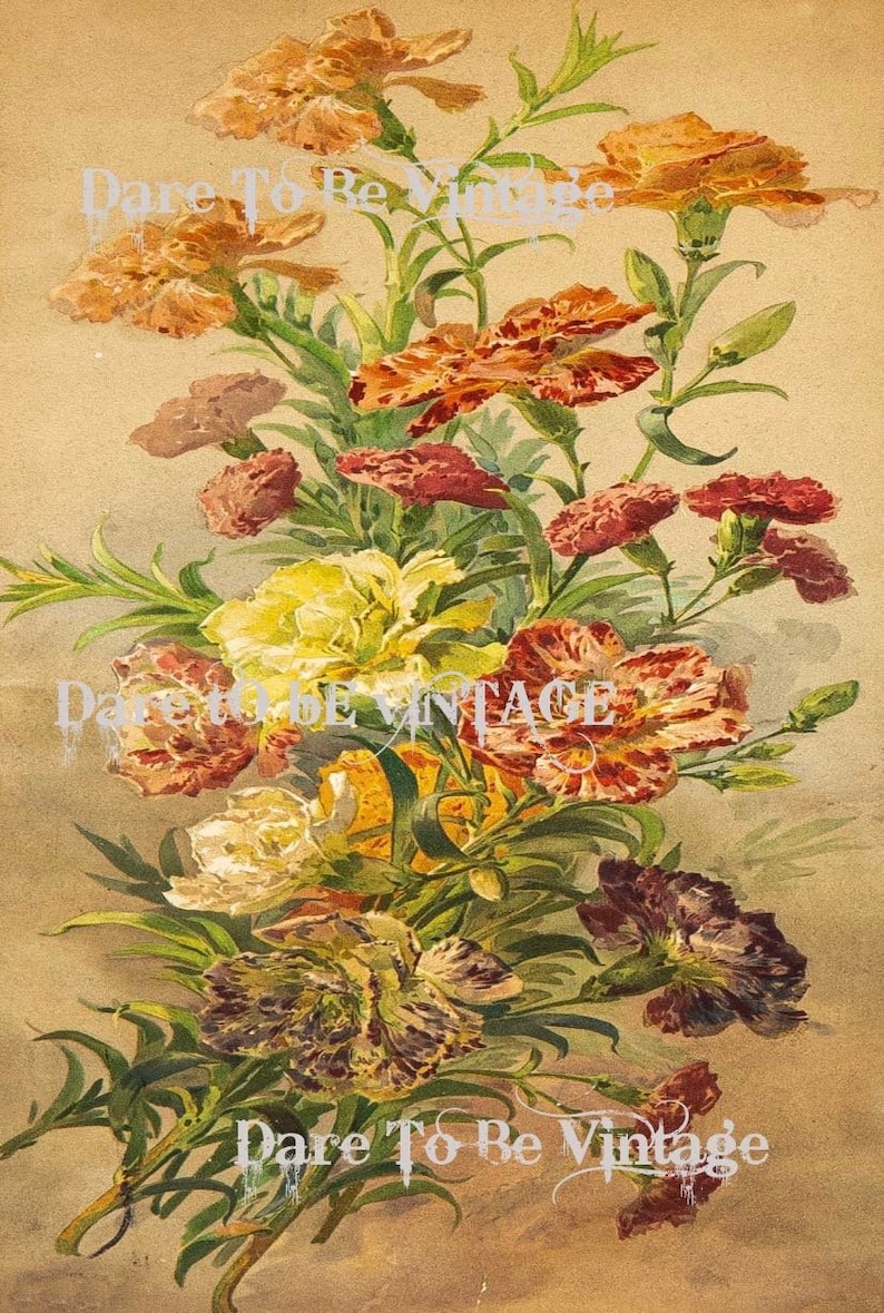 May include: A vintage botanical illustration of a bouquet of carnations in various shades of pink, yellow, and brown. The flowers are arranged in a vase and have green stems and leaves. The background is a light beige color.