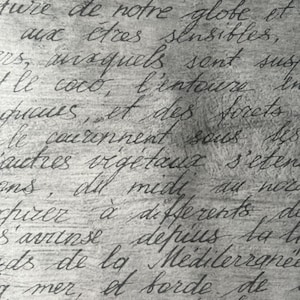 May include: A close-up of handwritten text on a textured surface. The text discusses the impact of different climates on various plants and animals. The text mentions the coco plant, forests, and the Mediterranean Sea.