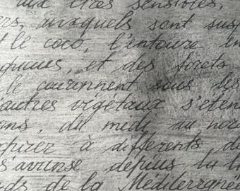May include: A grayscale close-up of a textured surface featuring handwritten French cursive script in dark ink. The visible text includes phrases such as 'nature de notre globe', 'aux êtres sensibles', 'le coco', 'des forets', and 'la Méditerranée'.