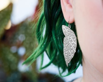 Polka Dot Begonia Leaf Earrings. Houseplant handmade jewelry.