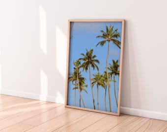 Arte de palmeras / Lámina de playa