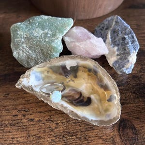 Hand Painted Natural Oyster Shell Ring Dish | Trinket Dish | Coastal Decor | Oyster Shell Art | Jewelry Holder | Accessory Earrings Rings