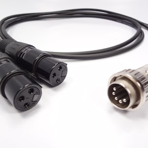 Puede incluir: Un cable de audio negro con dos conectores XLR hembra de tres pines en un extremo y un conector metálico circular multipin en el otro. El cable es negro y los conectores están fabricados en plástico negro y metal de tono plateado.