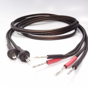 Puede incluir: Un par de cables de audio de color marrón oscuro con dos conectores circulares negros en un extremo y cuatro cables expuestos en el otro. Dos de los cables están recubiertos con tubos termorretráctiles rojos, mientras que los otros dos son negros.