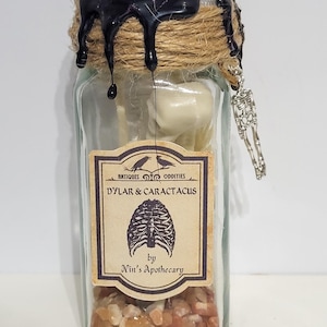 Skeletexemplaar Dylar en Caractacus House of Wizardry, exclusief op Harry Potter geïnspireerd