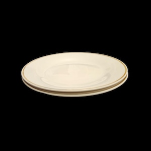 Vintage Royal Norfolk 8&quot; Salad Plate White with Gold Trim