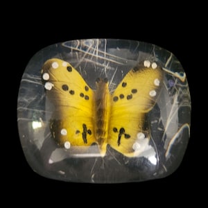 May include: A clear, rectangular resin paperweight with rounded corners, containing a yellow butterfly with black spots and white accents. The butterfly is centered within the transparent material, which features subtle internal wispy white lines.