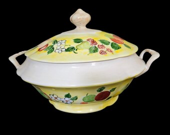 Vintage Real S Paulo Brazil Porcelain Covered Tureen Hand Painted Fruit Floral