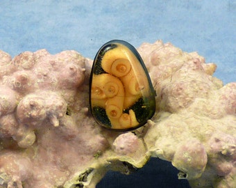 Encapsulated Tentacle Specimen Pin, Handmade Biology Jewelry