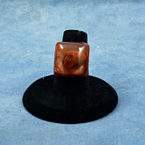 Encapsulated Skull Specimen Ring, Handmade Biology Jewelry image 1