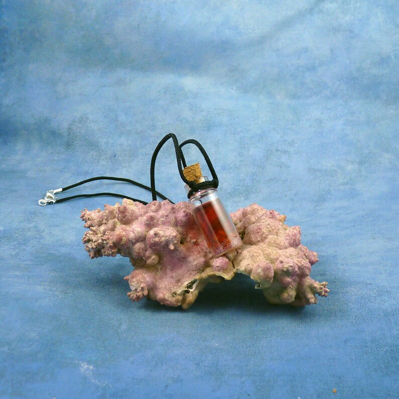 Blood jar necklace Clearance