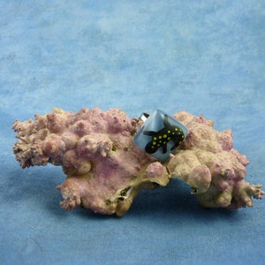 Encapsulated Spotted Salamander Specimen ring, Handmade Biology Jewelry image 4