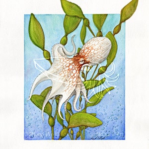Octopus in Kelp Forest, 8x10 Print on Fugi Crystal Archive Matte Unframed image 1