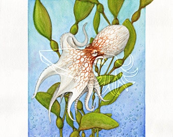 タコ（Octopus Vulgaris）ジクレー版画、A4、A3、またはA2 - 水中壁画