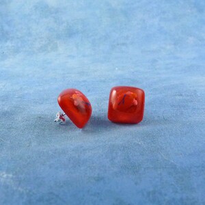 Heart Encapsulated Specimen Earrings, Handmade Biology Jewelry