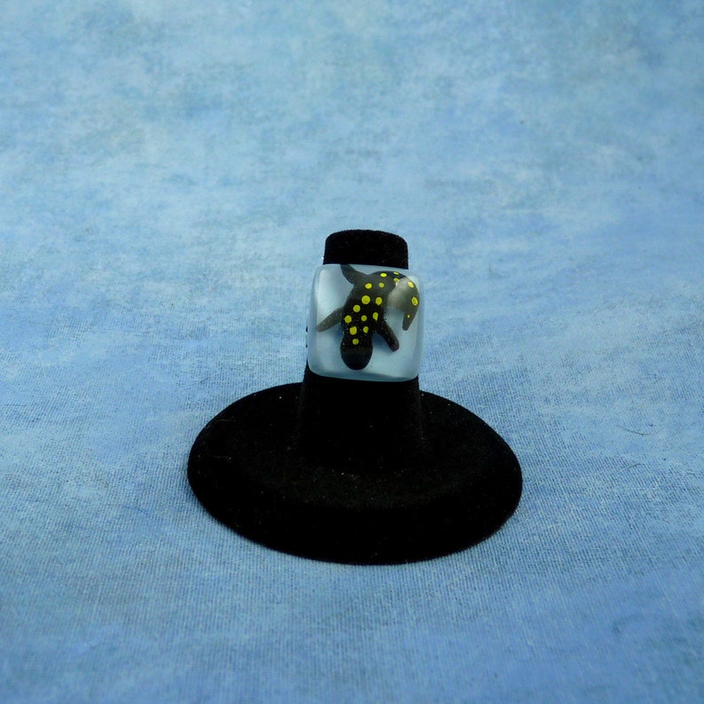 Encapsulated Spotted Salamander Specimen ring, Handmade Biology Jewelry image 1