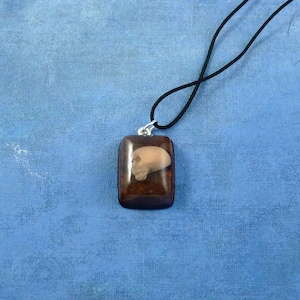 Puede incluir: Un colgante rectangular marrón con un inserto de resina transparente que contiene un pequeño objeto marrón claro. El colgante está unido a un cordón negro.