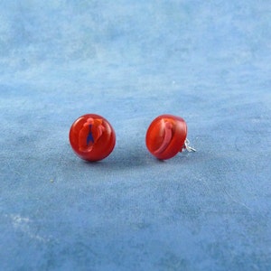 Heart Encapsulated Specimen Earrings, Handmade Biology Jewelry