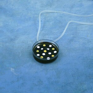 Yellow and White Bacteria on Black Agar Culture Necklace, Handmade Microbiology Jewelry image 2