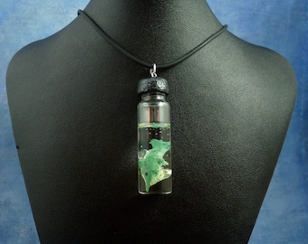 Ichthyosaur Specimen Jar Necklace, Handmade Prehistoric Jewelry