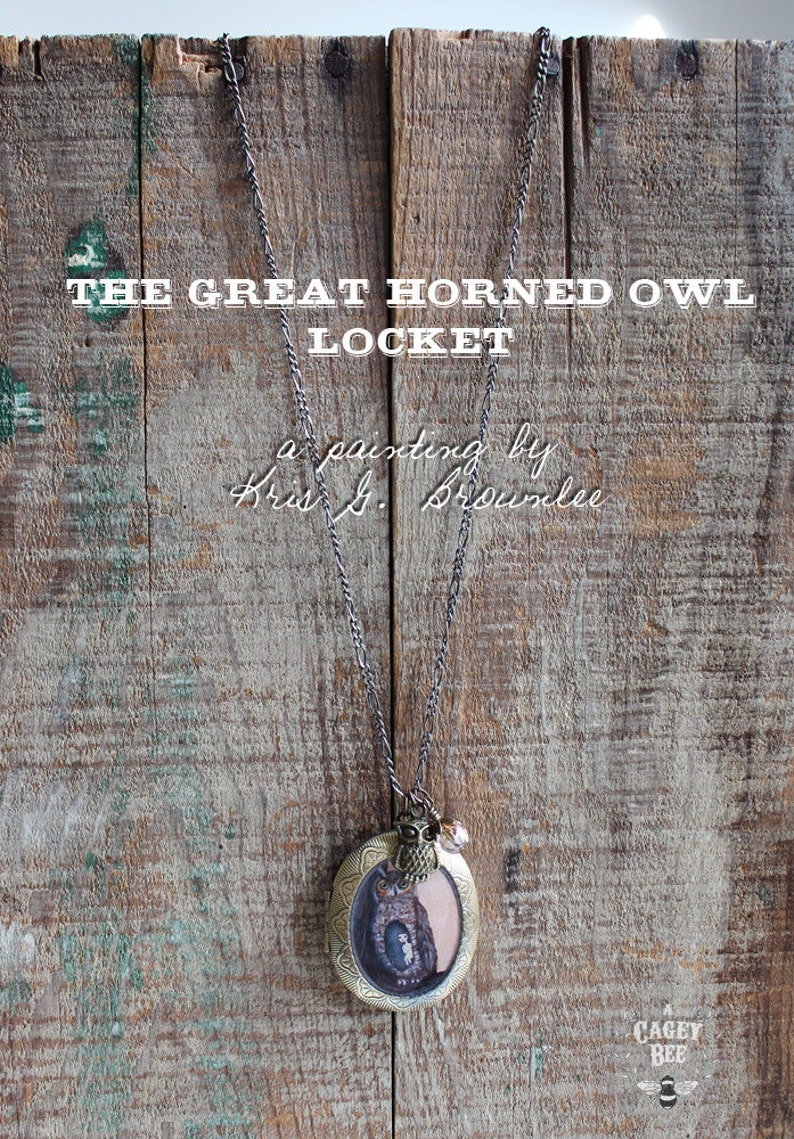 Owl Locket bird necklace jewelry with owl art pendant image 2