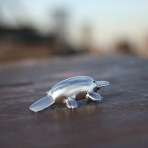 The Platypus
