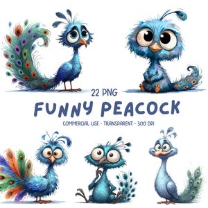 22 clipart PNG mignon drôle d'oiseau de paon coloré - oiseaux originaux et lunatiques d'aquarelle imprimable faisant des graphiques de dessin animé de sublimation