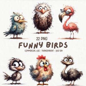 22 Cute & Funny Birds ClipArt PNG Bundle - Watercolor Quirky Whimsical Birds Printable Card Making Sublimation Cartoon Graphics Clip Art