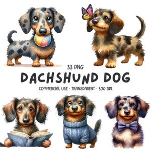 33 Dachshund Dog ClipArt Cute Dog Lover PNG Watercolor Dogs Pet images stickers - Printable Card Making Sublimation Digital Graphics