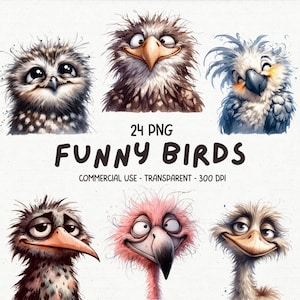 Quirky Bird Faces ClipArt PNG Bundle - 24 Watercolor Cute Funny & Crazy Whimsical Birds Printable Card Making Sublimation Cartoon Graphics