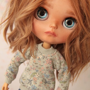 Cute Little Raglan Sweatshirt, Sweater for Blythe Doll with Ditsy Floral Print