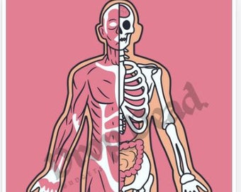 Desafío para salvar los dientes del globo ocular humano