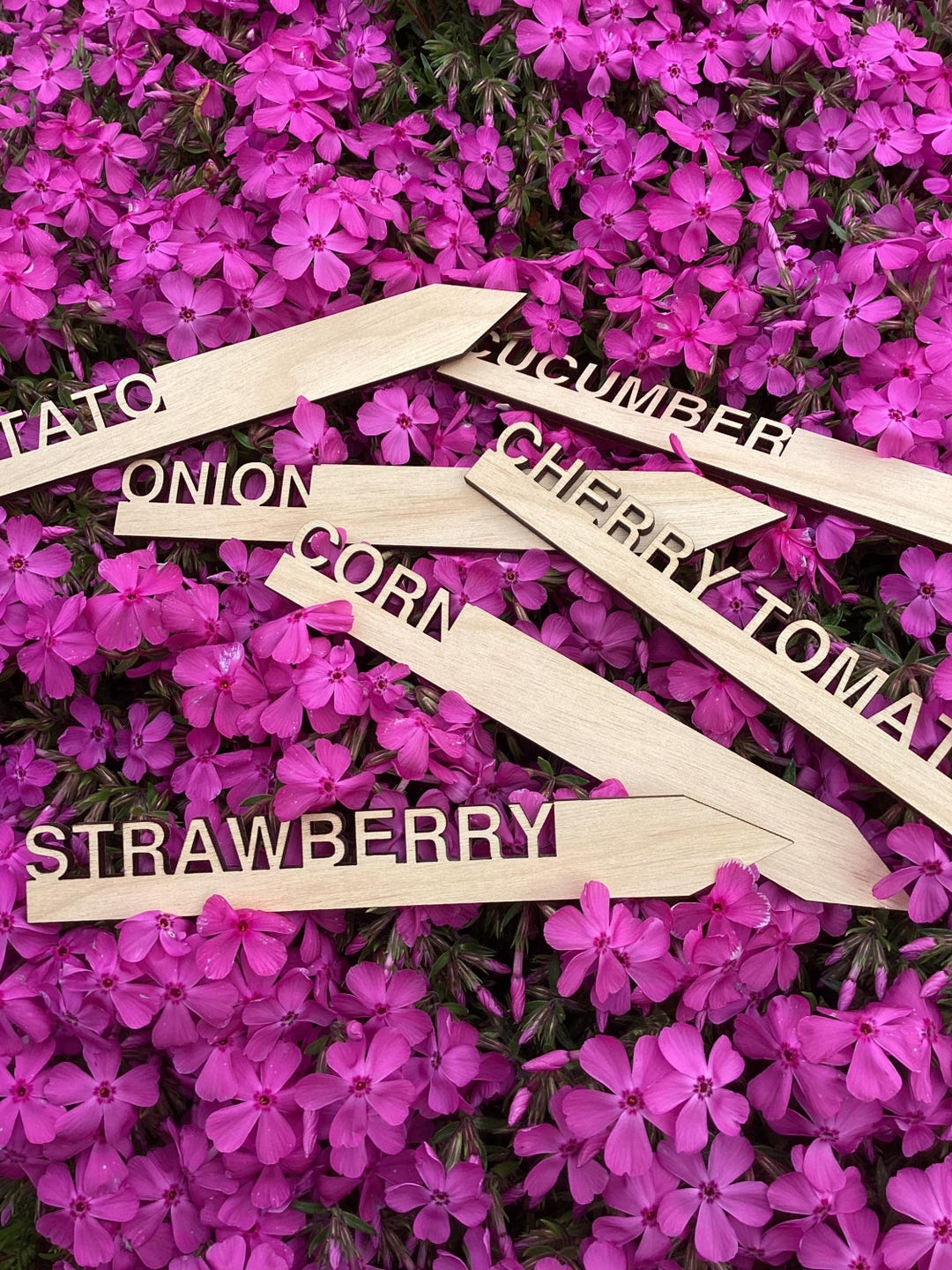 CUSTOM Biodegradable Wood Garden Stakes: Vegetable Herb Plant Markers ...