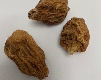 Ose Oji Alligator Pepper Atare Hot & Spicy DONACE Foods