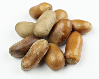 Whole Ehuru African Nutmeg Authentic Organic Pepper Soup Nkwobi