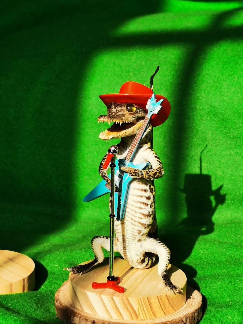 May include: A taxidermied alligator wearing a red cowboy hat and holding a blue electric guitar. The alligator is standing on a wooden platform with a microphone stand.