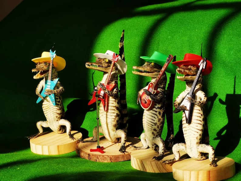 May include: Four taxidermied alligators wearing hats and playing toy guitars. The alligators are wearing a yellow, white, green, and red hat. The guitars are blue, red, and green.