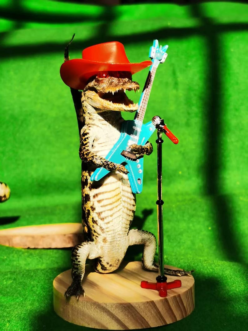 May include: A small alligator wearing a red cowboy hat and holding a blue electric guitar. The alligator is standing on a wooden platform with a microphone stand.