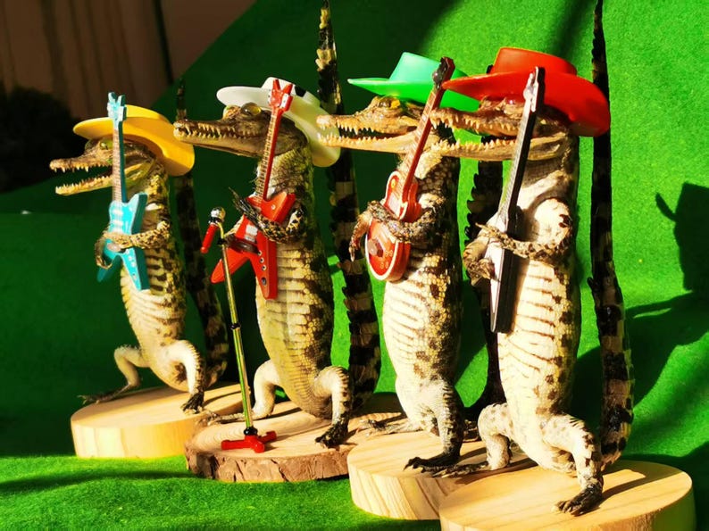 May include: Four taxidermied alligators wearing colorful hats and holding toy guitars. The alligators are arranged in a row on wooden bases.