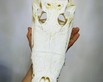 il_340x270.6592792537_lyrg.jpg