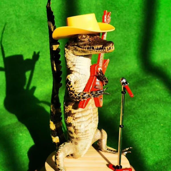 Alligator Decor with Cowboy Hat and Guitar – Quirky Western Style Animal Art Display