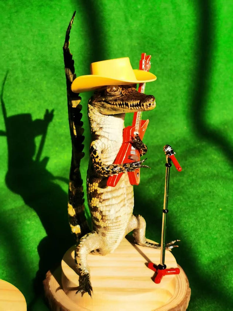 Rocking Baby Alligator Decor with Guitars – Colorful Cowboy Hats and Playful Display