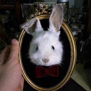 May include: A framed artwork featuring a white rabbit head with a red velvet bow tie. The rabbit is set against a black background within a gold ornate frame. The image includes text that reads "Miracles happen every day."